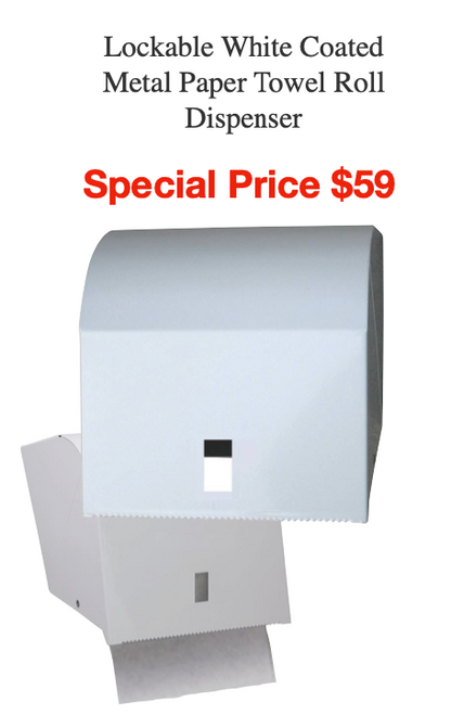 Paper Towel Dispenser